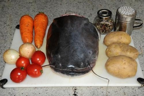 Сом тушеный с картофелем. Готовим тушеного сома с овощами в мультиварке