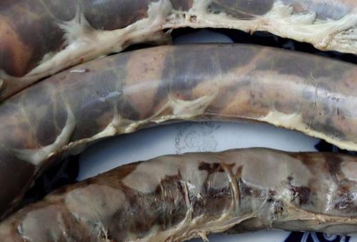 Казы это национальное блюдо. КАЗЫ - самая лучшая в мире колбаса! 06 Казы это национальное блюдо. КАЗЫ - самая лучшая в мире колбаса! 06