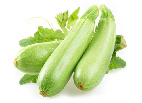 Пюре из кабачка и моркови для прикорма. Пюре из кабачков – моя первая «пюрешка»