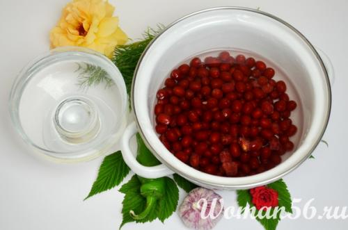 Соус из облепихи к блинам. Рецепт острого соуса к мясу из облепихи