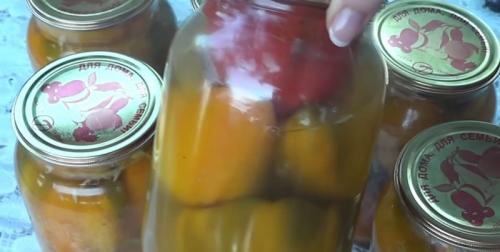 Фаршированный острый перец на зиму. Фаршированный перец на зиму с капустой, морковью и медом