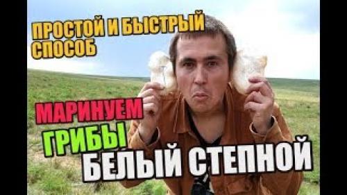 Белый степной гриб, как Мариновать. Как Мариновать Степные Грибы В Домашних Условиях