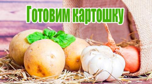 Запеченная картошка в мультиварке. Как запечь картошку в мультиварке