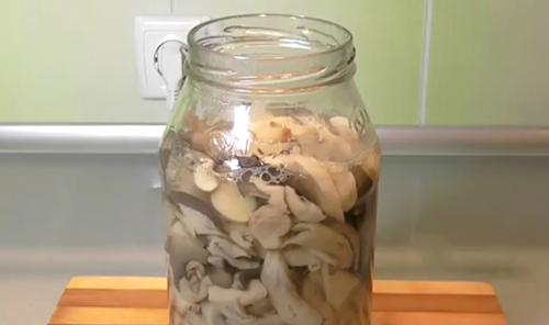 Грибы рядовка, как готовить жарить. Консервирование рядовок (видео)