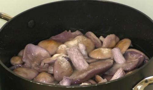 Блюда из рядовок. Рецепты приготовления блюд из лиловых рядовок