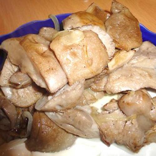 Блюда из рядовок. Рецепты приготовления блюд из лиловых рядовок