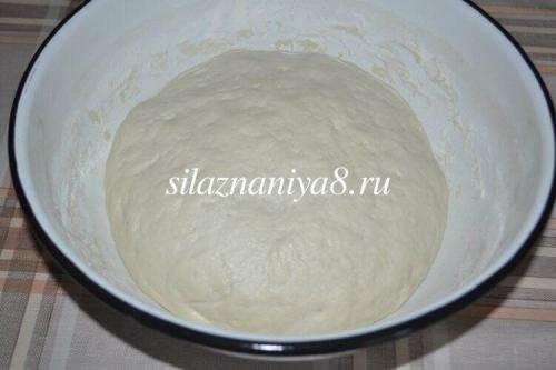 Пицца с луком сыром и колбасой. Пицца с колбасой и луком 08 Пицца с луком сыром и колбасой. Пицца с колбасой и луком 08