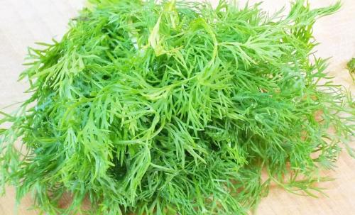 Вареники с творогом и укропом