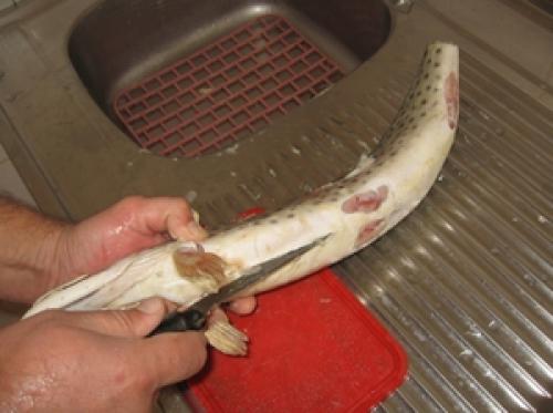 Котлеты из щуки с грибами рецепт. Описание 01