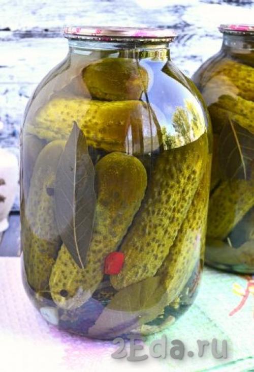 Огурцы с гвоздикой маринованные. Хрустящие маринованные огурцы – простые рецепты 06 Огурцы с гвоздикой маринованные. Хрустящие маринованные огурцы – простые рецепты 06