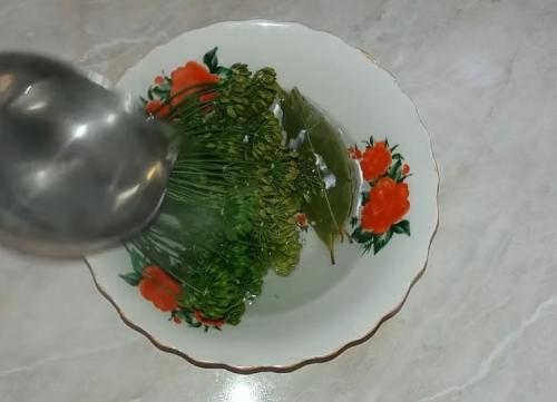 Консервация огурцов в литровых банках без стерилизации. Консервирование огурцов в литровых банках