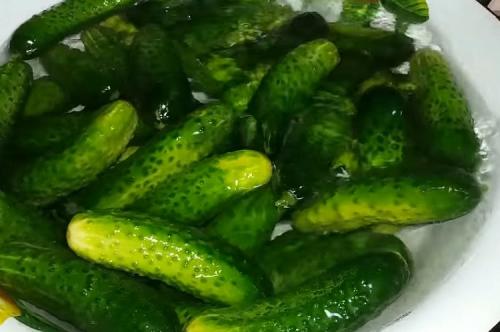 Консервация огурцов в литровых банках без стерилизации. Консервирование огурцов в литровых банках