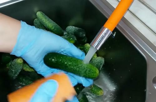 Консервация огурцов в литровых банках без стерилизации. Консервирование огурцов в литровых банках