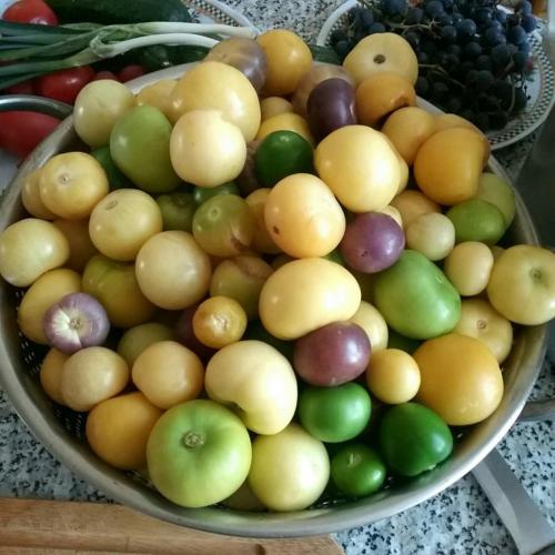 Варенье из тыквы и физалиса. Варенье из яблок с апельсином и тыквой 18 Варенье из тыквы и физалиса. Варенье из яблок с апельсином и тыквой 18