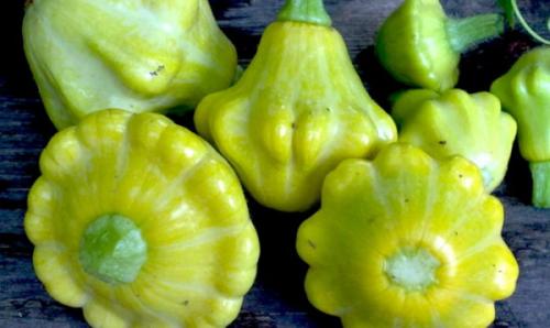 Заготовки из патиссонов на зиму золотые рецепты. Заготовки из патиссонов на зиму на любой вкус