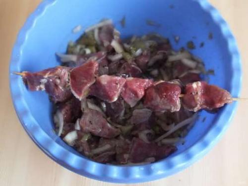 Шашлык в электрогриле на шпажках. Шашлык из свинины на гриле (видео) 06