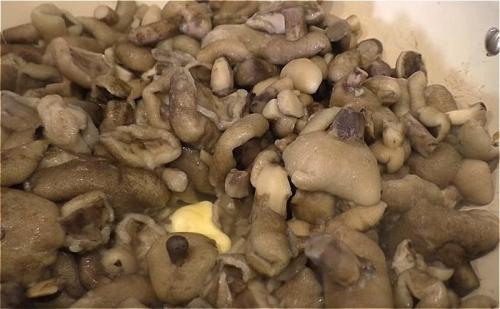 Маринованные маслята с маслом. Маринуем жареные маслята на зиму в домашних условиях