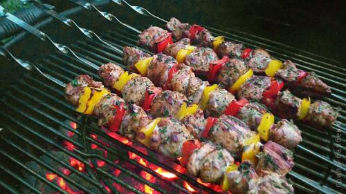 Шашлык в электрогриле на шпажках. Шашлык из свинины на гриле (видео)