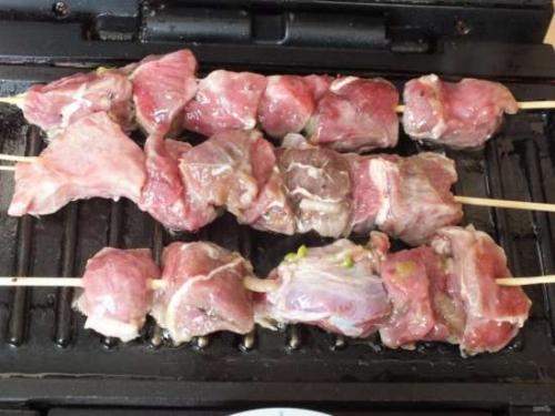 Шашлык в электрогриле на шпажках. Шашлык из свинины на гриле (видео) 07