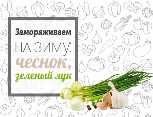 Как заготовить зеленый чеснок на зиму сохранить аромат. Замораживаем на зиму: чеснок и зеленый лук