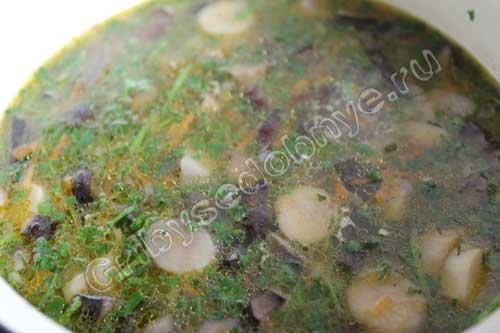 Грибы рядовки, как жарить. Икра для бутербродов 05 Грибы рядовки, как жарить. Икра для бутербродов 05