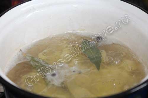 Грибы рядовки, как жарить. Икра для бутербродов 02 Грибы рядовки, как жарить. Икра для бутербродов 02