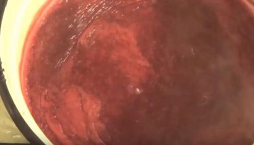 Сливовое варенье с вином и специями. Сливы в вине. А также в коньяке, водке и со специями. 07