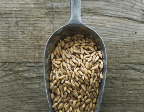 Суп из полбы без мяса. Как готовить полбу. Первые блюда