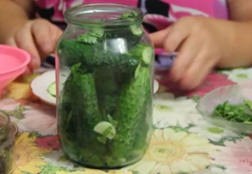 Маринованные огурцы без закатки. Хрустящие маринованные огурцы на зиму — рецепт на 1 литр