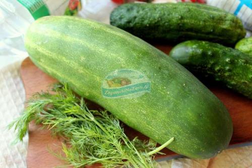 Тертые огурцы на зиму для рассольника. Лучшие огурчики для рассольника: пошаговый рецепт заготовки на зиму 11 Тертые огурцы на зиму для рассольника. Лучшие огурчики для рассольника: пошаговый рецепт заготовки на зиму 11