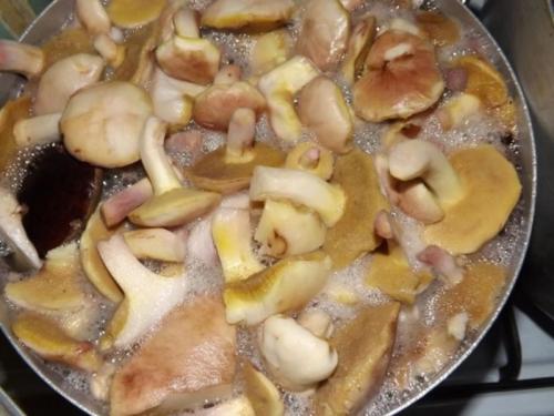 Маслята маринованные с чесноком. Простой рецепт маринованных маслят на зиму