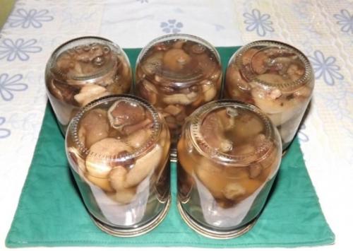 Маслята маринованные с чесноком. Простой рецепт маринованных маслят на зиму