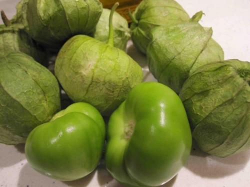 Физалис овощной. Овощной физалис