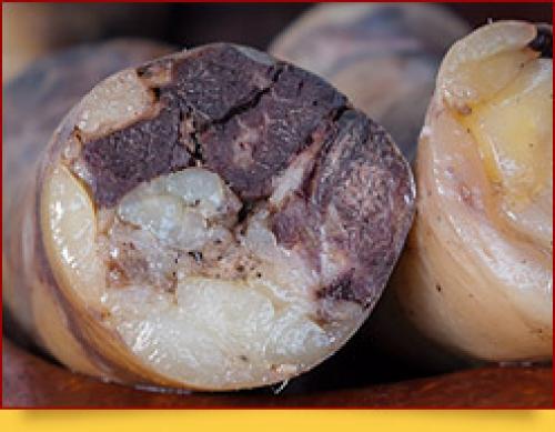 Казы это. Казы