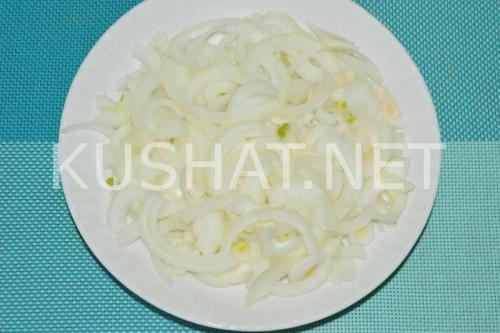 Шашлык в духовке в рукаве на луковой подушке. Шашлык на луковой подушке в духовке – рецепт
