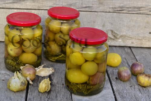 Икра из овощного физалиса на зиму рецепты. Икра из физалиса овощного на зиму