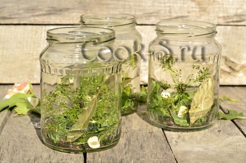 Икра из овощного физалиса на зиму рецепты. Икра из физалиса овощного на зиму