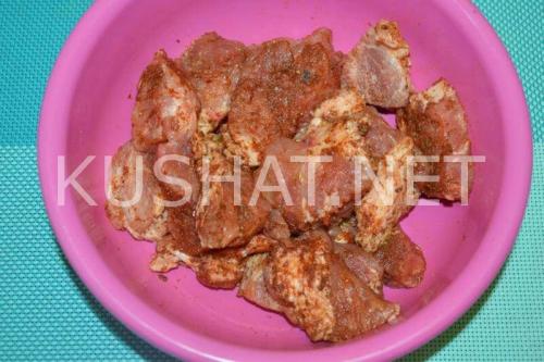 Шашлык в духовке в рукаве на луковой подушке. Шашлык на луковой подушке в духовке – рецепт