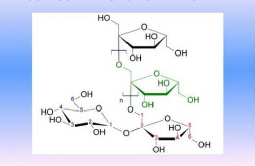 Блюда из топинамбура для диабетиков. Полезные свойства инулина