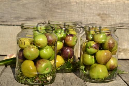 Икра из овощного физалиса на зиму рецепты. Икра из физалиса овощного на зиму