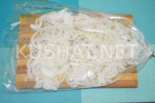 Шашлык в духовке в рукаве на луковой подушке. Шашлык на луковой подушке в духовке – рецепт