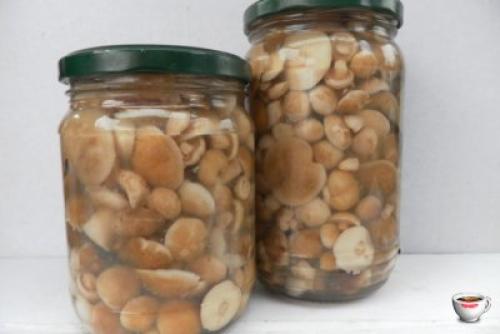 Можно ли замороженные маслята замариновать. Как приготовить маслята замороженные маринованные