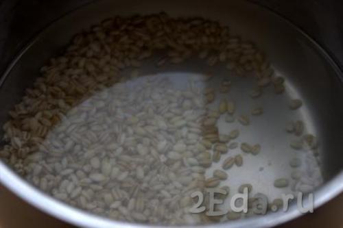 Рассольник с колбасой без перловки. Рассольник с перловкой и колбасой