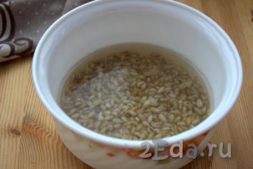 Рассольник с колбасой без перловки. Рассольник с перловкой и колбасой