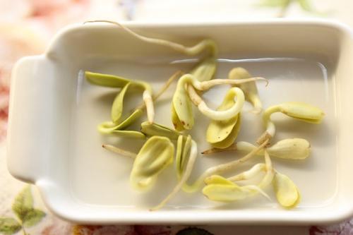 Сырые морковные котлеты для сыроеда. Сыроедческие котлеты