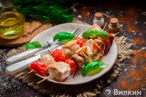Шашлык в духовке на шпажках из курицы. Шашлык из курицы на шпажках в духовке