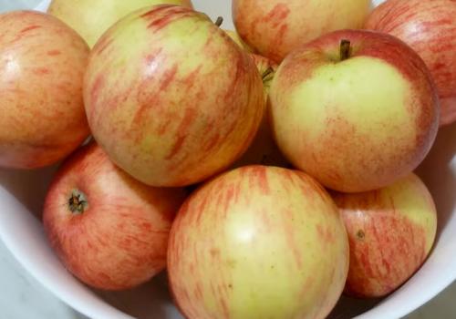 Янтарное варенье из яблок и апельсинов. Янтарное варенье из яблок дольками с корицей