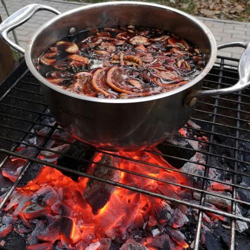 Гусь в красном вине. Гусь в вине, запеченный в духовке на картофельной подушке. Рецепты Виноголика.