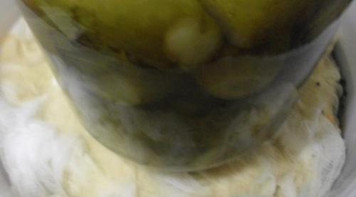 Стручковая фасоль с яйцом и сыром. Вкусная запеканка со спаржевой фасолью в духовке 06 Стручковая фасоль с яйцом и сыром. Вкусная запеканка со спаржевой фасолью в духовке 06