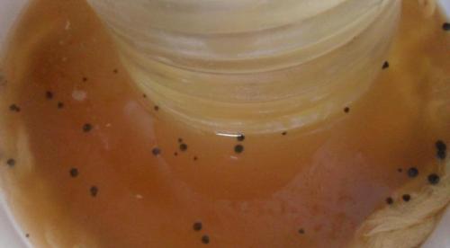 Стручковая фасоль с яйцом и сыром. Вкусная запеканка со спаржевой фасолью в духовке 07 Стручковая фасоль с яйцом и сыром. Вкусная запеканка со спаржевой фасолью в духовке 07